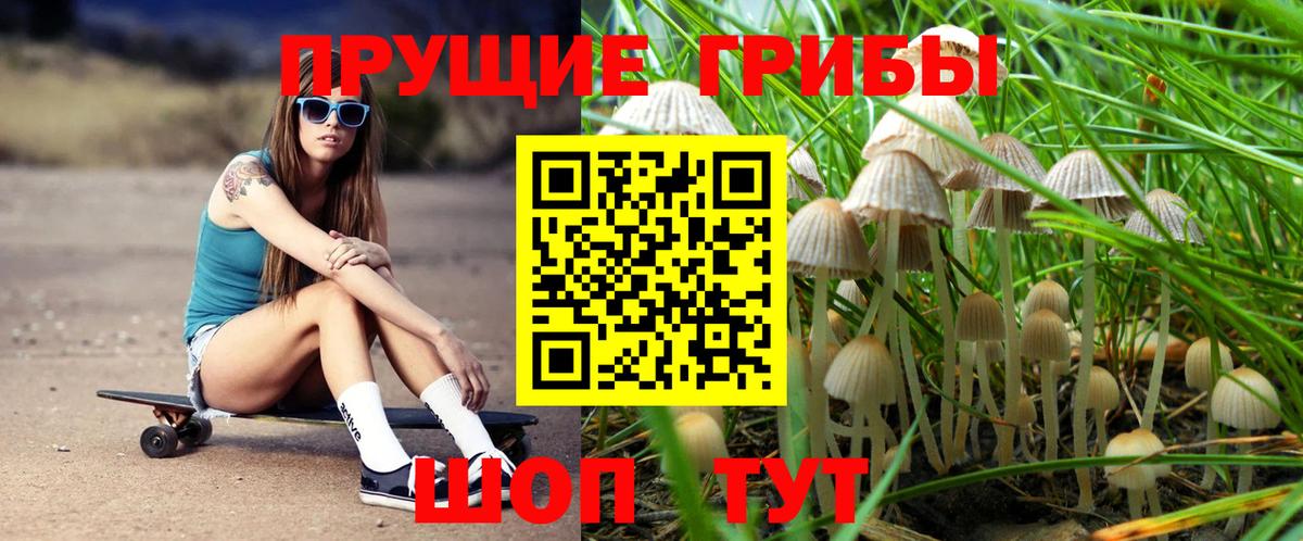 Галлюциногенные грибы Cubensis Кузнецк