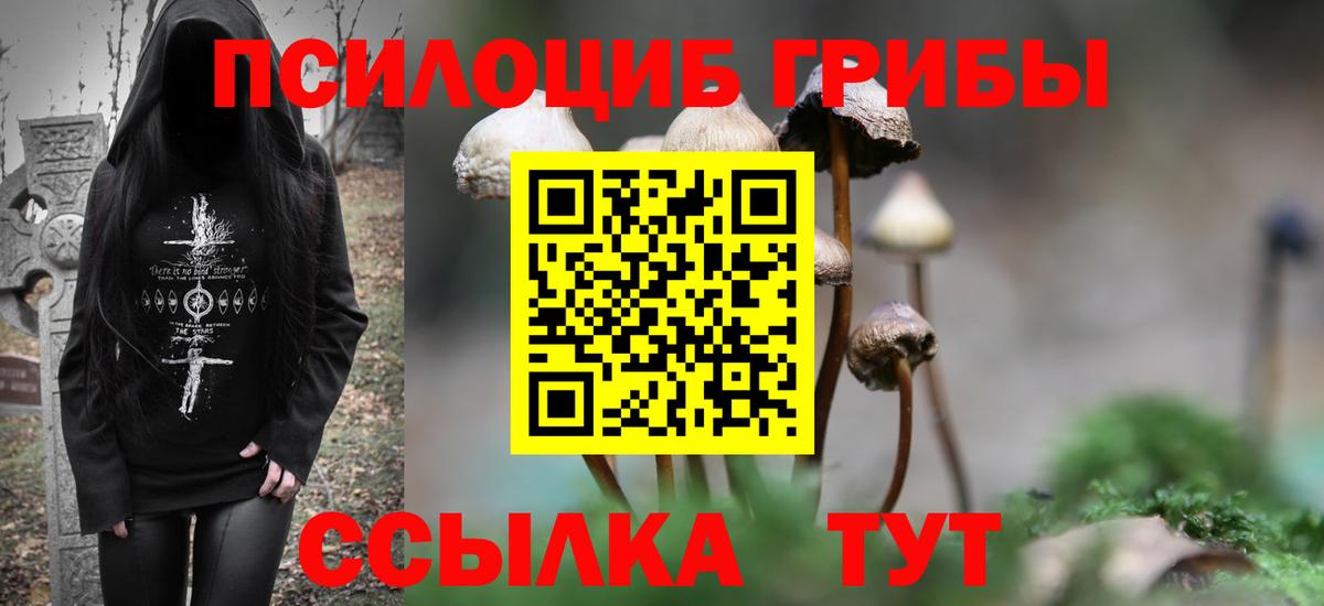 Галлюциногенные грибы Magic Shrooms  Галлюциногенные грибы мицелий  Кузнецк  Вход с VPN 